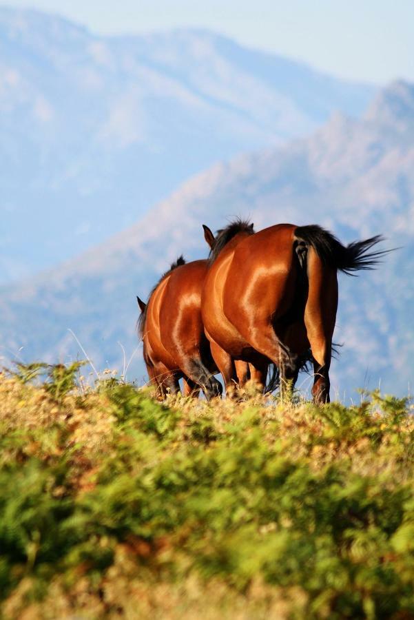 Nuits Magiques Au Village Entre Et Montagnes Country house