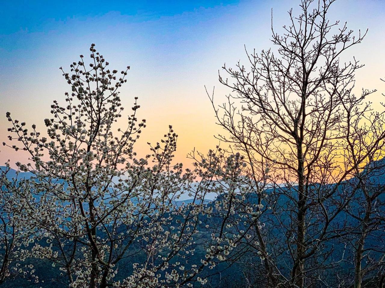 Nuits Magiques Au Village Entre Et Montagnes Bigorno