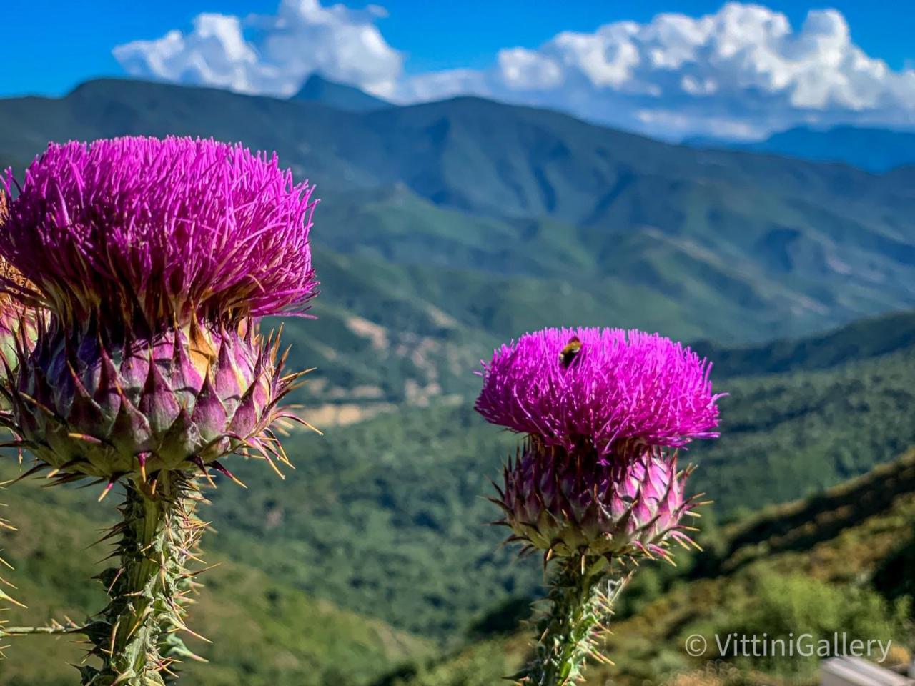 Nuits Magiques Au Village Entre Et Montagnes Bigorno