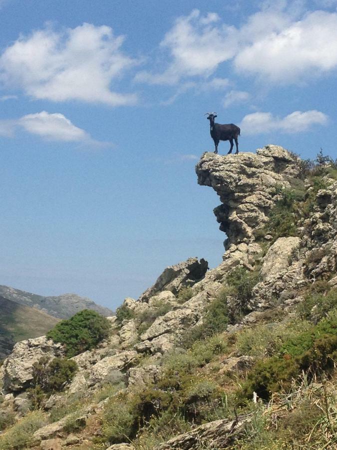 Nuits Magiques Au Village Entre Et Montagnes Séjour à la campagne *